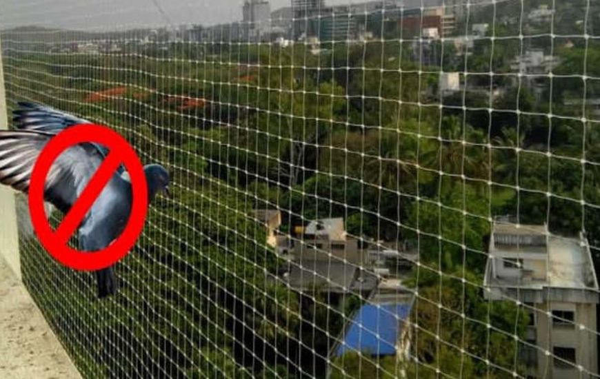 Pigeon Safety Nets in Bangalore